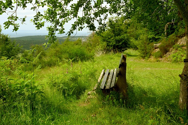 布伦森连场30+＆哈特两双，布伦森关键时刻取分带走比赛